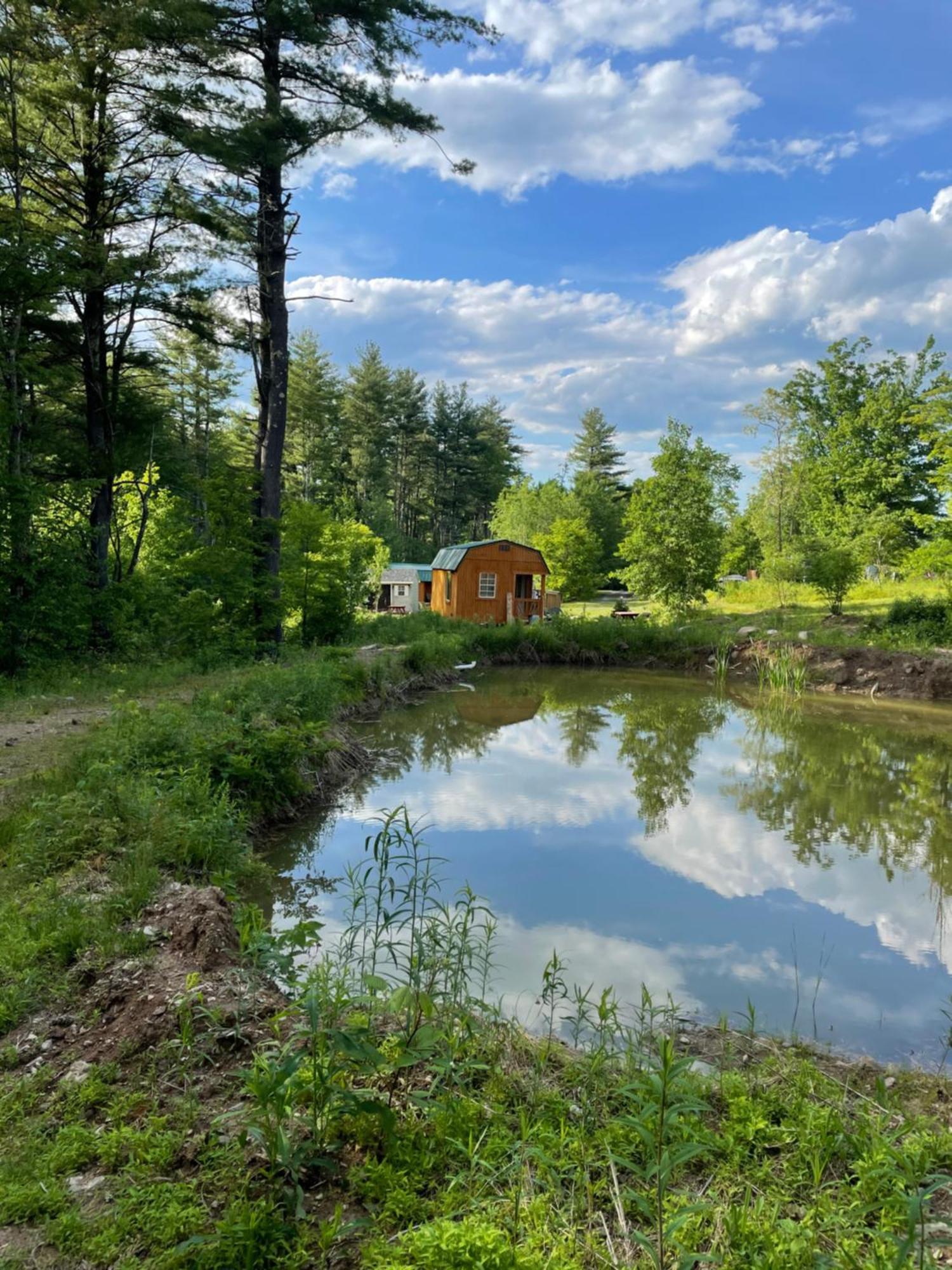 The Hideaway Tiny Cabin East Durham Екстер'єр фото